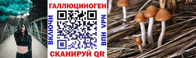 Галлюциногенные грибы мицелий  blacksprut зеркало  Агрыз 